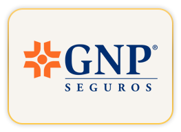 GNP